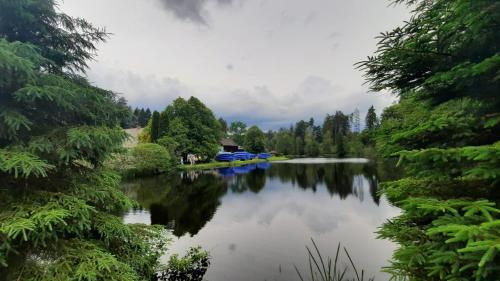 a river with trees and boats in the water at Apartamenty Młyn in Męcikał