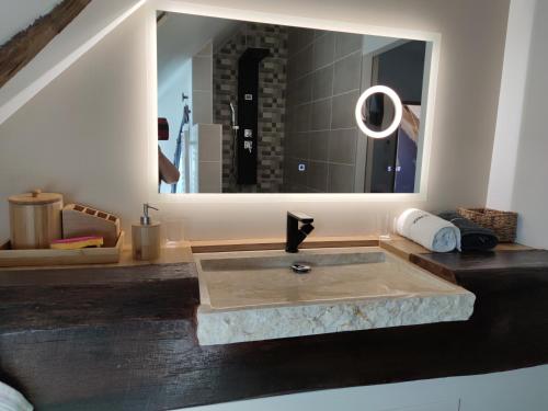 a bathroom with a sink with a large mirror at Gîte des Toucanes in Beaumont-Pied-de-Boeuf