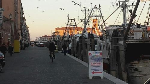 a person riding a bike down a street next to boats at Hotel Europeo in Sottomarina