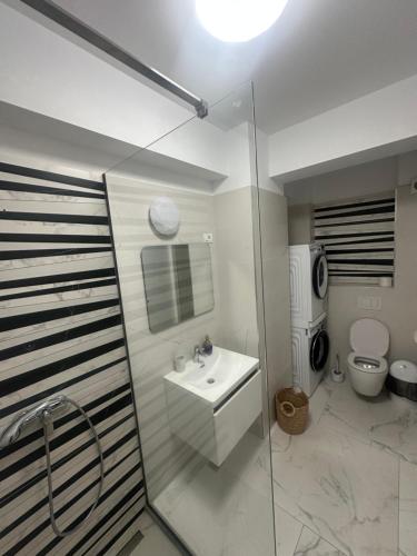 a bathroom with a sink and a toilet at ELIZ Luxury Residence in Mamaia