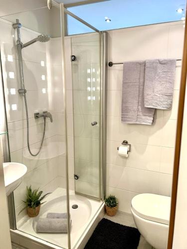 a bathroom with a shower and a toilet at Apartment Alfred in Essen