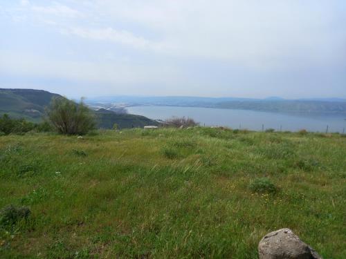 a field of green grass with a lake in the background at בקתה 512- אירוח בדרום הגולן in Giv'at Yo'av