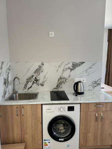 eine Küche mit Waschmaschine und Spüle in der Unterkunft Mirza Guesthouse in Batumi
