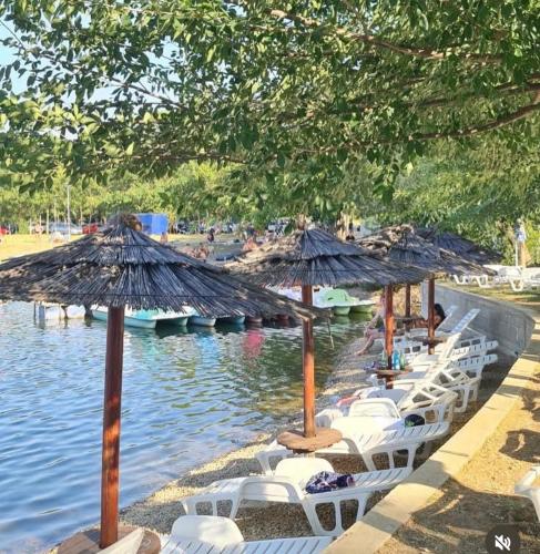 a row of chairs and umbrellas on the water at Vila Plaza-1 in Bela Crkva