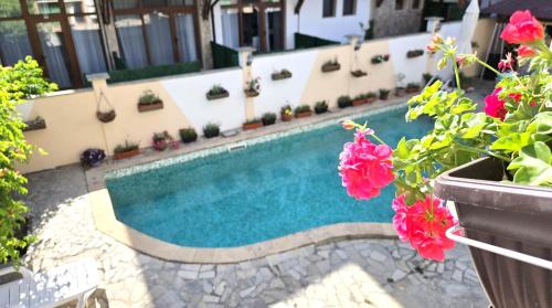 Kolam renang di atau dekat dengan Family Hotel Primo
