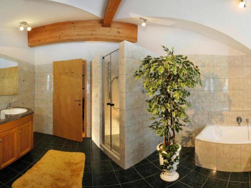 a bathroom with a shower and a tub and a plant at Apartment in Achenkirch with a garden in Achensee