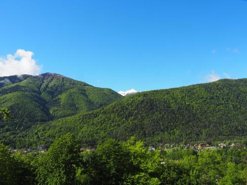 Un grupo de montañas verdes con un pueblo entre ellas. en E-bike e tennis gratuiti -2 min Piana Vigezzo ski-, en Craveggia