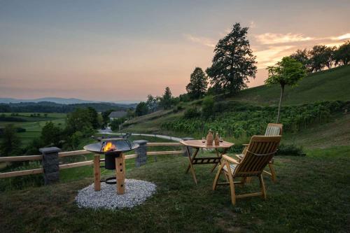 a patio with a table and chairs and a fire pit at Holiday home in Trebelno - Dolenjska & Bela krajina Unter- & Weißkrain 26032 in Trebelno