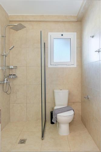 a bathroom with a toilet and a walk in shower at Sandoa Residence - Lualaba & Tenke in Minia