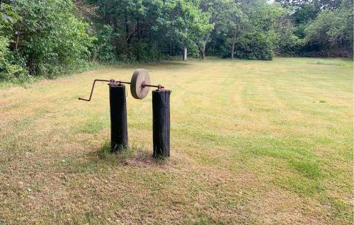 a large field with two poles in the grass at 2 Bedroom Lovely Home In Silkeborg in Silkeborg