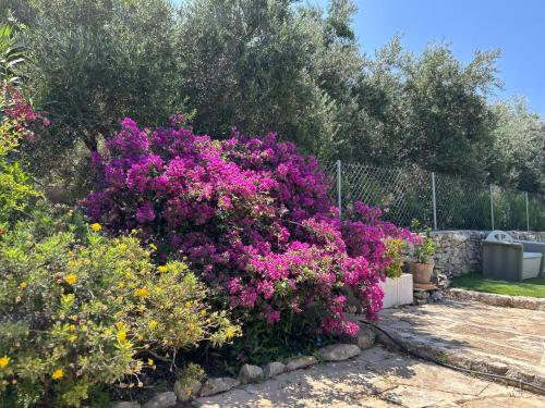 a bunch of flowers in a garden at Old stone villa in Apokoronas Villa Nostalgia Kreta in Fílippos