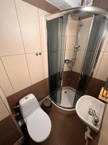 a bathroom with a toilet and a shower and a sink at 4 Pory Roku - Węgierska Górka in Węgierska Górka