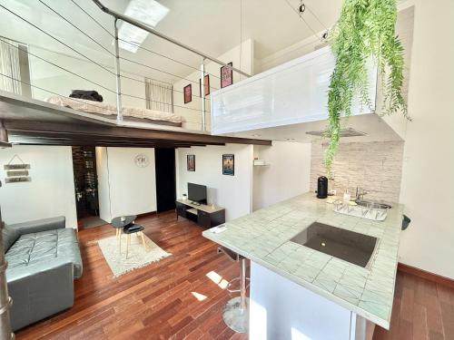 Le Loft urbain - Clim - Saint-Michel