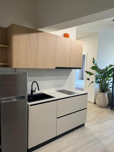 Η κουζίνα ή μικρή κουζίνα στο Emera Apartments