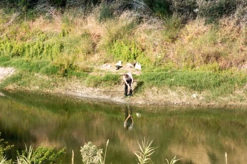 a bear standing next to a body of water at Anastou's Traditional House in Kalopanayiotis