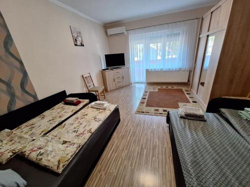 a living room with two beds and a tv at Anikó Apartman in Siófok