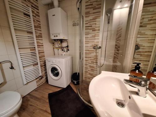 a bathroom with a sink and a washing machine at Anikó Apartman in Siófok