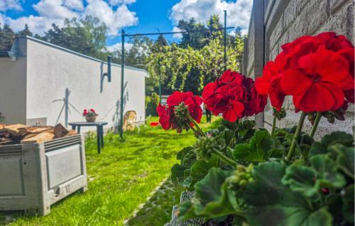 a garden with red flowers in the grass at Gorgeous Home In Boruja in Boruja