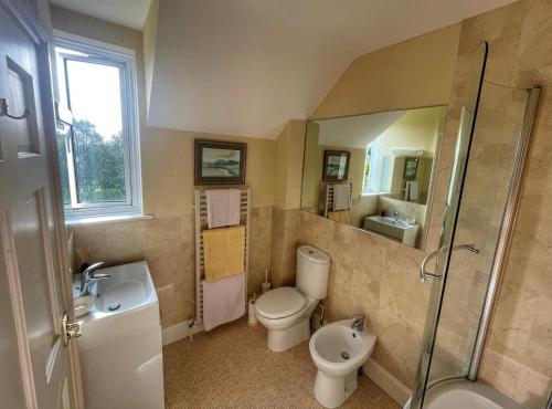 a bathroom with a toilet and a sink and a shower at Cherryford House in Gidleigh