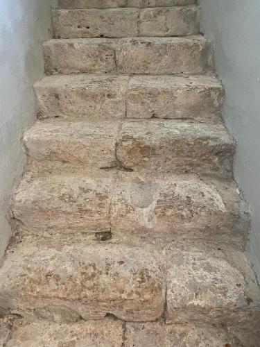 Φωτογραφία από το άλμπουμ του Château d'Arcamont σε Roquelaure