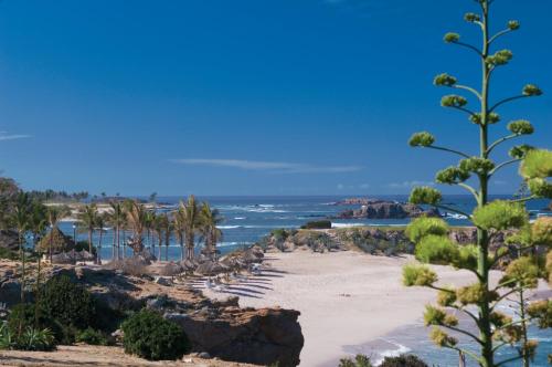 a beach with palm trees and the ocean at Four Seasons Resort Punta Mita in Punta Mita