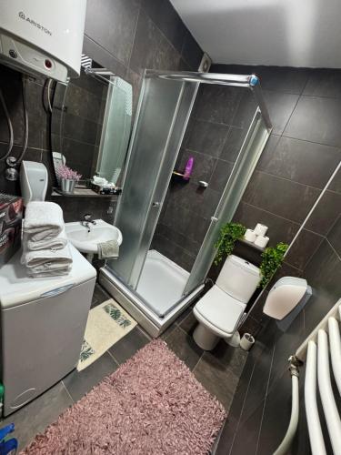 a bathroom with a shower and a toilet and a sink at SpaNish apartman 6 in Niš