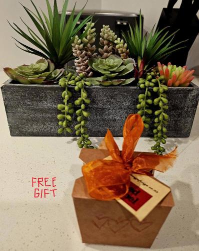 a group of potted plants on a table with an orange bow at Luxury Apartment Christchurch Central in Christchurch