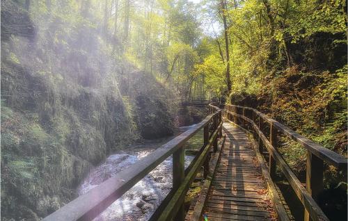 a wooden bridge over a stream in a forest at Cozy Home In Ravna Gora With Sauna in Ravna Gora