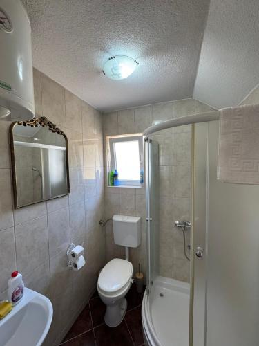 a bathroom with a toilet and a shower and a sink at Apartment Mountain Paradise Plav in Plav