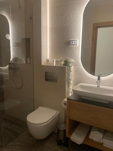 a bathroom with a toilet and a sink and a mirror at Pećina Stroga - Bjelica Winery Rooms in Sremski Karlovci