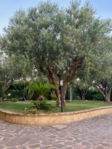 Κήπος έξω από το Relais Ruggiero