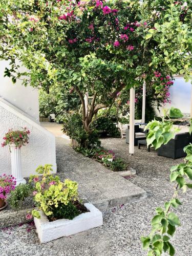 Imagen de la galería de Hotel Albatross, en Livadion