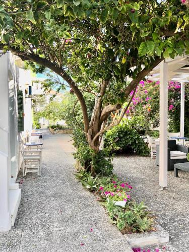 Imagen de la galería de Hotel Albatross, en Livadion