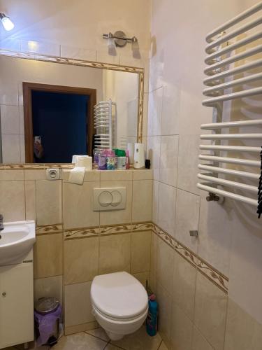 a bathroom with a toilet and a sink and a mirror at Centrum Apartament in Gdańsk