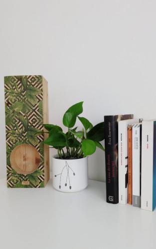 a plant sitting on a shelf next to books at el'Gio Feel at Home in Pordenone