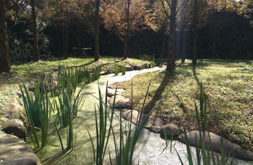 a garden with rocks and grass and trees at Rainbow Bridge B&B in Sanzhi
