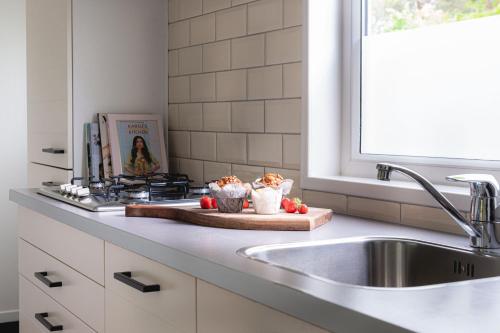 a kitchen counter with a sink and a counter top with a sink at Tiny cabin in bosrijke omgeving de Veluwe - met terras, tuin en fietsschuurtje in Nunspeet