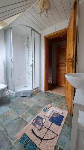 a bathroom with a shower and a sink at Ferienhaus Neela in Plau am See