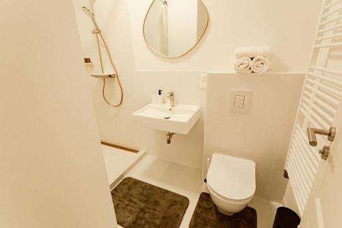 a bathroom with a toilet and a sink and a mirror at Ferienhaus Arina in Bad Bertrich