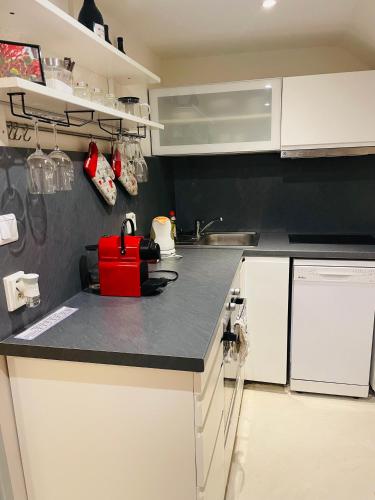 Kuchyň nebo kuchyňský kout v ubytování Apartmán Lucián