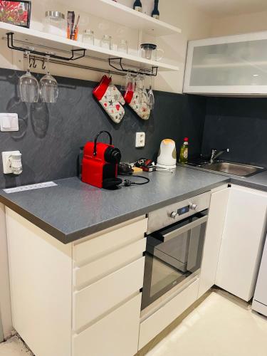 Kuchyň nebo kuchyňský kout v ubytování Apartmán Lucián