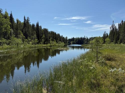 Priroda u blizini vikendice