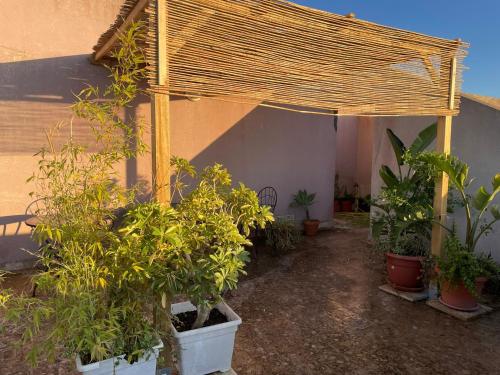 Gallery image of Acquamarina Apartment with Terrace in Marsala