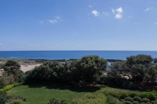 a field with trees and the ocean in the background at Dialiskari Villas in Marathopolis