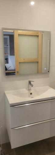 a bathroom with a sink and a mirror at Grande OU petite maison sur 360m2 de jardin clos sans vis à vis in Gentilly