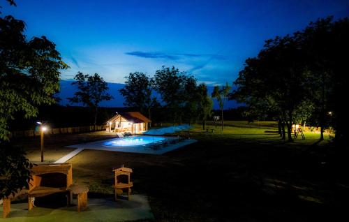 Πισίνα στο ή κοντά στο Amazing Home In Gusce With Sauna
