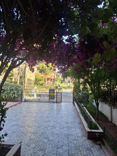 Κήπος έξω από το Evim Palace