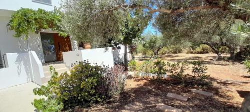 Κήπος έξω από το Casa di Laino
