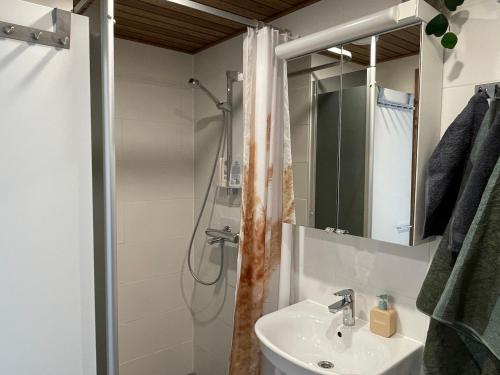 a bathroom with a sink and a shower at Studio apartment in Kuusamo in Kuusamo