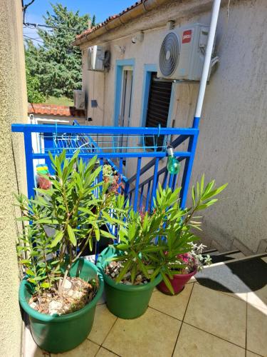 a group of plants in pots on a balcony at Aretha apartman i sobe in Novi Vinodolski